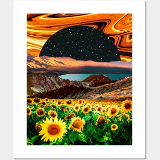 Sunflowers morning Posters and Art